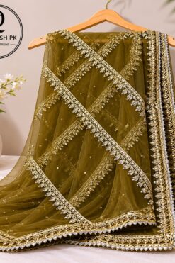 Sapphire Organza dupatta