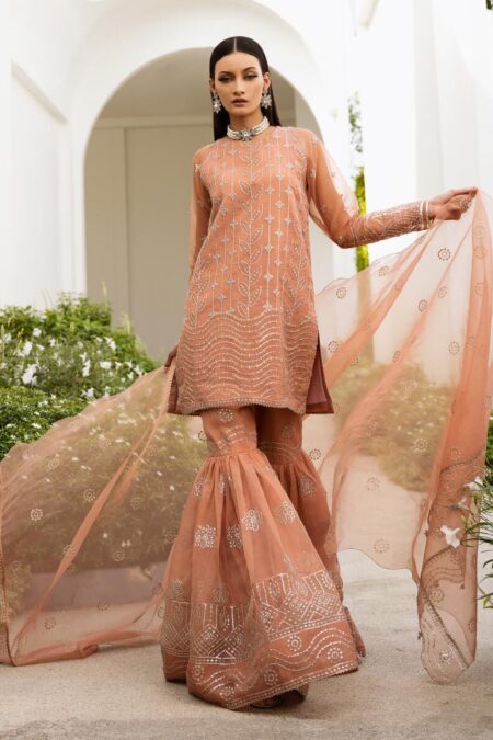 Sapphire 3 Piece - Embroidered Organza Suit
