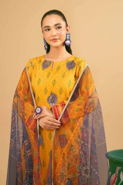 2 Piece - Printed Embroidered Suit - PE25-395